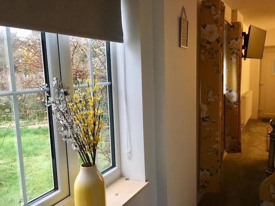 Daffodil House , West Wales Llandovery Eksteriør billede